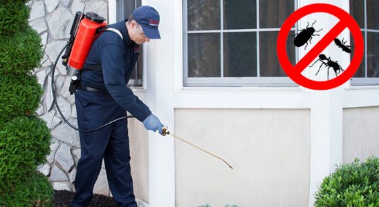 Terme Akrep İlaçlama böcek ilaçlama ve haşere kontrolü — ilaclama-tr.com